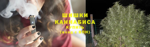 стаф Магас