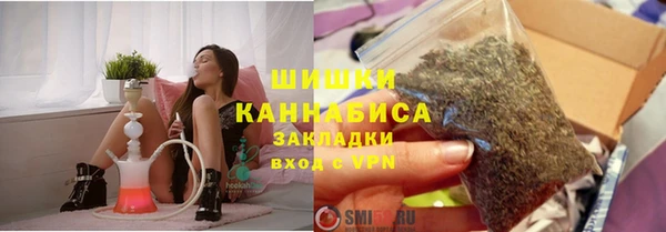 СК Медногорск