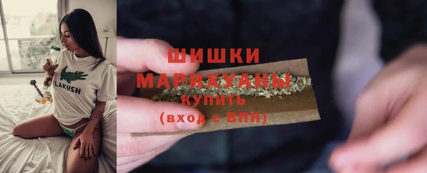 стаф Магас