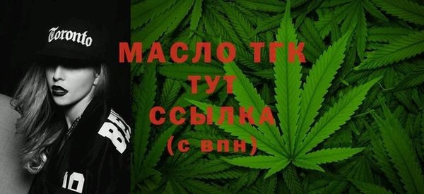 СК Медногорск