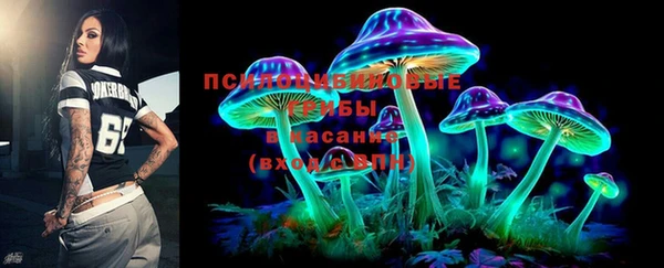 эйфоретик Медвежьегорск