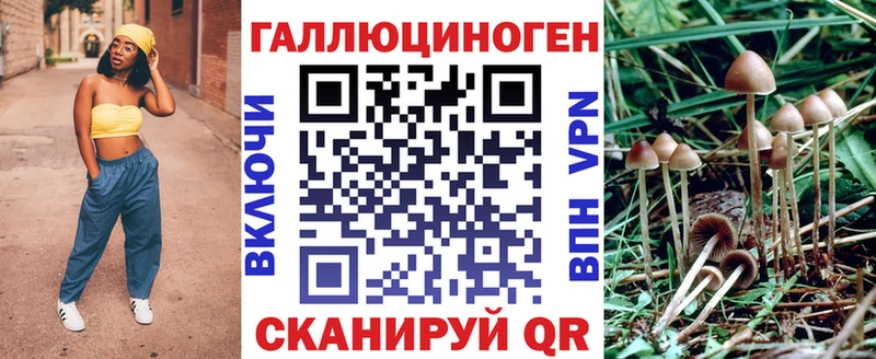 мориарти состав  Березники  Псилоцибиновые грибы мухоморы  как найти наркотики 
