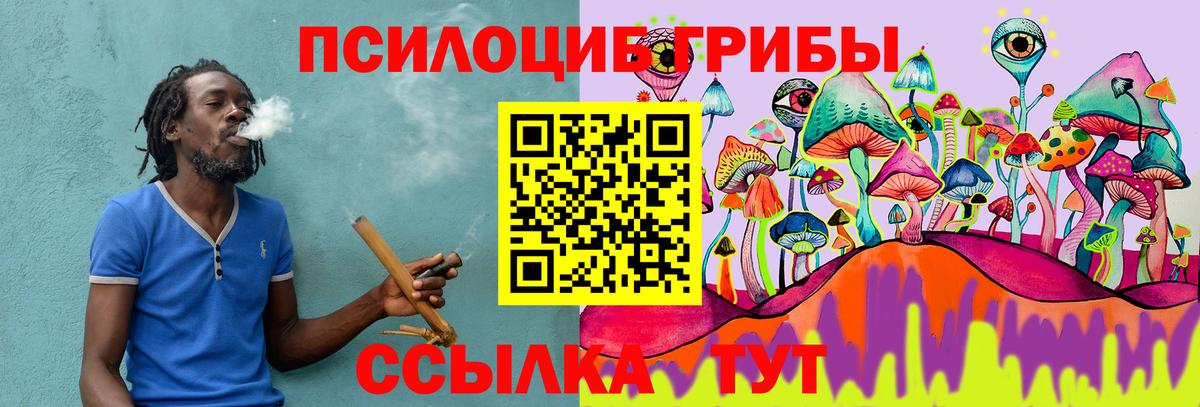 Псилоцибиновые грибы Psilocybine cubensis  Березники  Псилоцибиновые грибы Magic Shrooms 