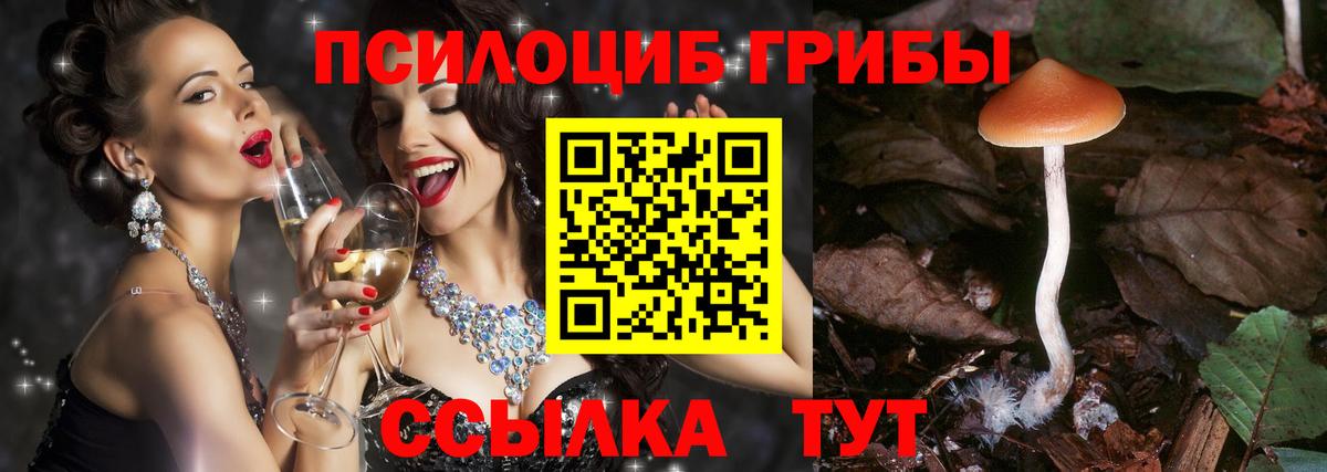 Галлюциногенные грибы мицелий Березники